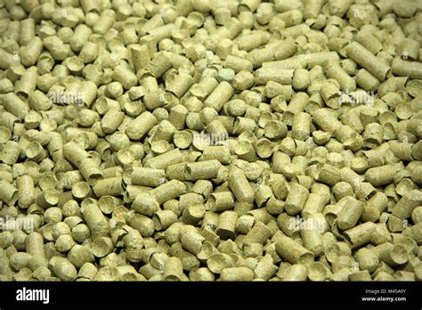 Malt background. Ingredient for beer Stock Photo - Alamy