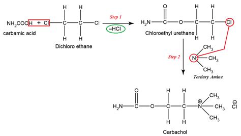 Carbachol: Synthesis, Uses, Adverse effects and MOA