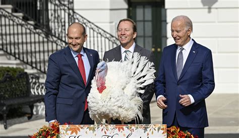 Biden perdona los pavos nacionales de Acción de Gracias en su 81 ...