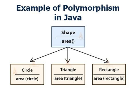 Java Polymorphism - Master the Concept with Real-life Examples! - TechVidvan | Java tutorial ...