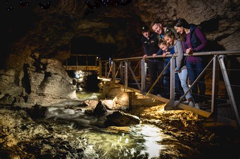 Te Anau Glowworm Caves | Queenstown isite