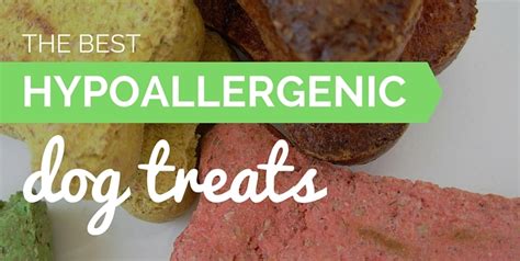 7 Best Hypoallergenic Dog Treats: Allergy-Free Canine Snacks!