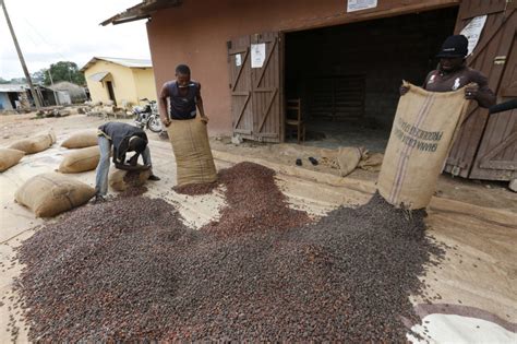 Ghana now processing 34 percent of it's cocoa - Africa Feeds