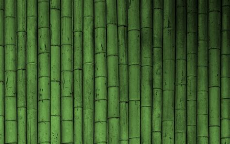 Bamboo Wallpaper - Green Wallpaper (19784745) - Fanpop