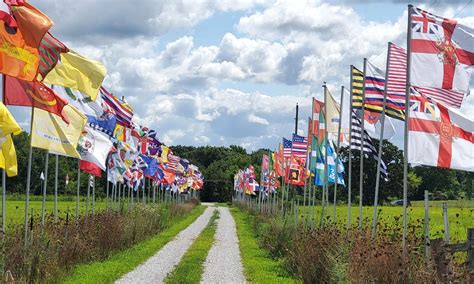 The Molzahn Collection of American Revolutionary War-Era Flags. - MrFlag