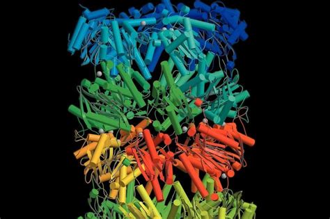 Biophysics: An Introduction