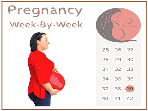 39 Weeks Pregnant: Symptoms, Activities & Developments