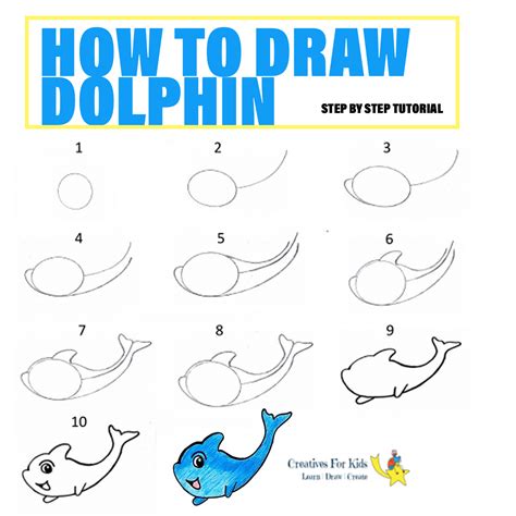 Pencil And Paper, Miami Dolphins, Aquatic, Sketching, Line Art, Sketch Book, Coloring, Ocean ...