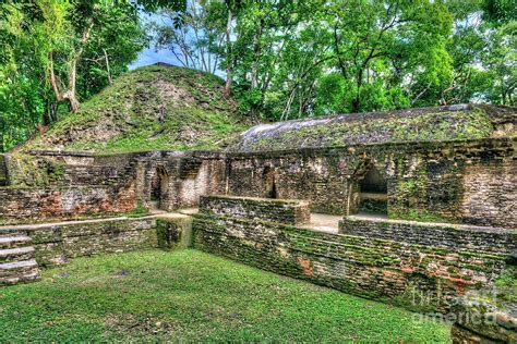 Mayan Kings Chambers Photograph by David Zanzinger - Fine Art America
