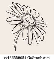 900+ Royalty Free Daisy Flower Vectors - GoGraph