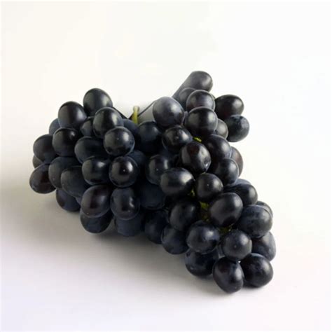 A Grade Black Seedless Organic Grapes at Rs 70/kg in Nashik | ID ...