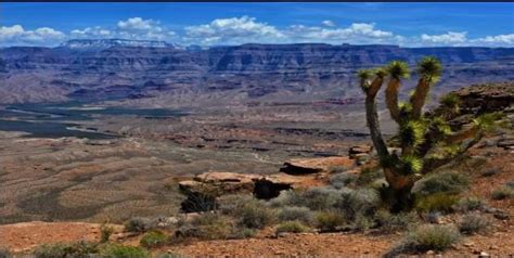 Wind Dreamer Ranch - Meadview, AZ - Hipcamp in Meadview, Arizona