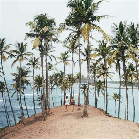 Mirissa, Sri Lanka: 9 Best Things To Do (2025 Travel Guide)