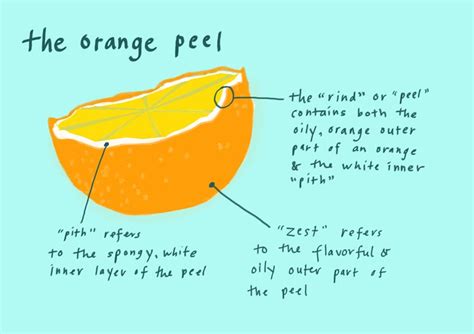 i am hope: God and orange peel anatomy