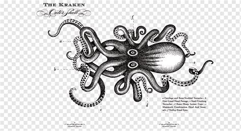 Kraken Rum Sea monster Octopus, kraken rum logo, text, monochrome ...