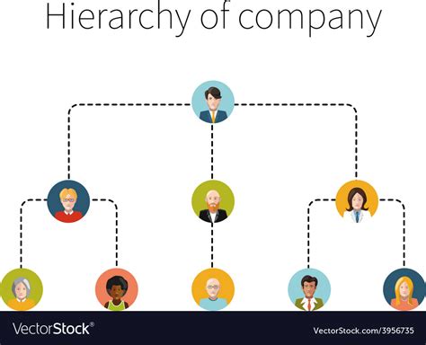 Hierarchy of company flat isolated Royalty Free Vector Image