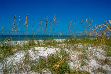 Florida State Parks | Florida Hikes!