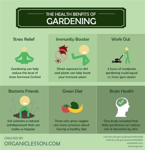 6 Surprising Health Benefits of Gardening | Benefits of gardening ...