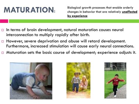 PPT - DEVELOPMENTAL PSYCHOLOGY PowerPoint Presentation, free download - ID:4237822