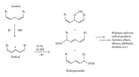 Autoxidation mechanism of lipids. | Download Scientific Diagram