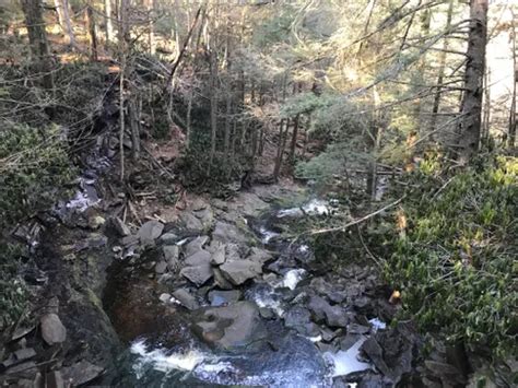 Best 10 Hikes and Trails in Blackwater Falls State Park | AllTrails