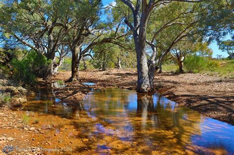 Flinders Ranges | Australia landscape, Landscape painting tutorial, Landscape photos