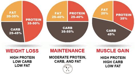 Everything You Need to Know About Macros | Macro calculator, Macros diet, Gain muscle