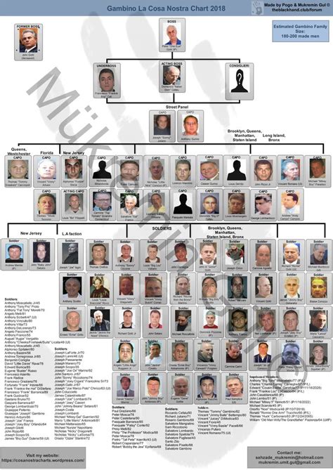 2018 Chart | Colombo crime family, Mafia, Mafia crime