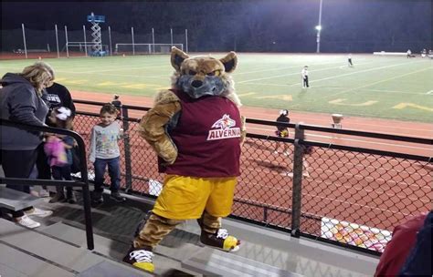 Alvernia Moving Forward as the Golden Wolves - BCTV