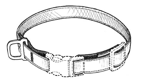 Patent USD702003 - Collar for a dog - Google Patents