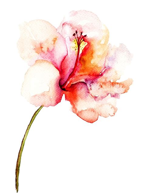 Watercolor Pink Flower Painting #watercolorarts in 2019 | Watercolor ...