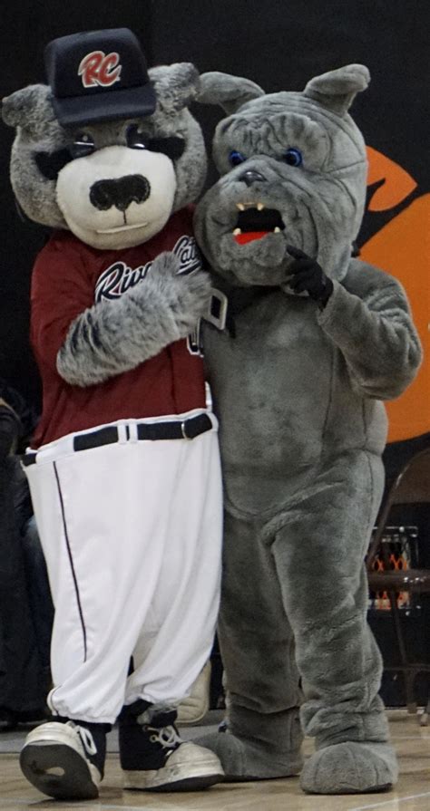 Sacramento River Cats mascot Dinger shocks Vacaville High student with ...