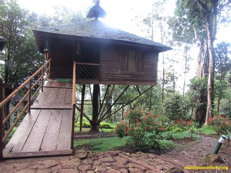 Tree House @ Munnar, Kerala: Our Experience – Destination Infinity