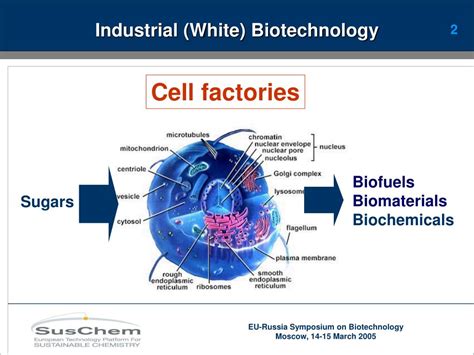 PPT - Industrial (White) Biotechnology in Europe PowerPoint Presentation - ID:4075445