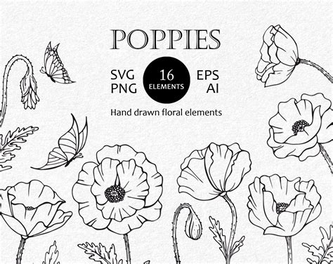 Poppy SVG files for cricut. Flower silhouette SVG, (1426213)