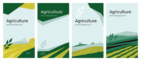 Set Of Agriculture Vector Backgrounds Stock Illustration - Download ...