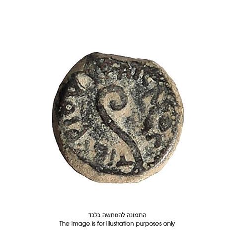 Israel Coin Collection. Ancient coins, Israel Coins & Jewish Coins