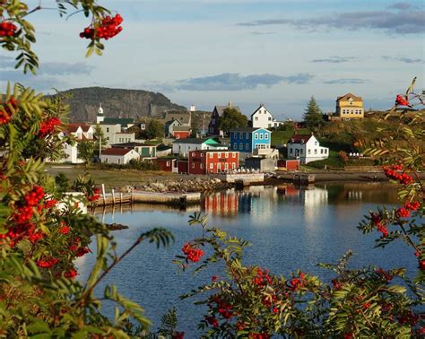 Trinity Newfoundland Canada in beautiful colour. Newfoundland Island, Newfoundland Tourism ...