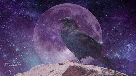 Crow Mythology - Crow Spiritual Meaning | Auntyflo.com