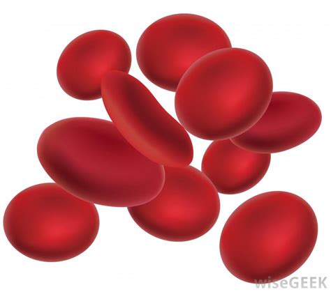 Blood red clipart 20 free Cliparts | Download images on Clipground 2024