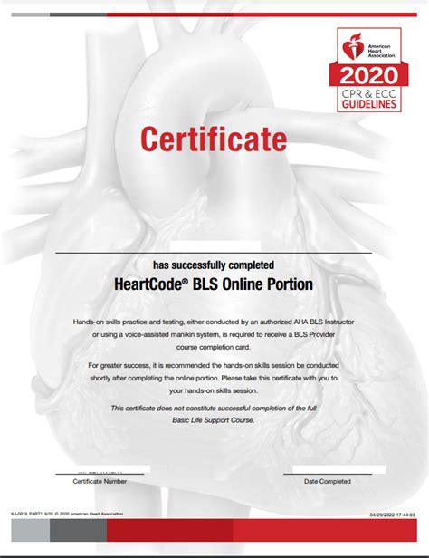 American Heart Association Certification | Willow Grove CPR