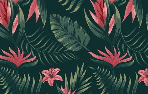 Tropical pattern Jungle flowers Patterns on Creative HD wallpaper | Pxfuel