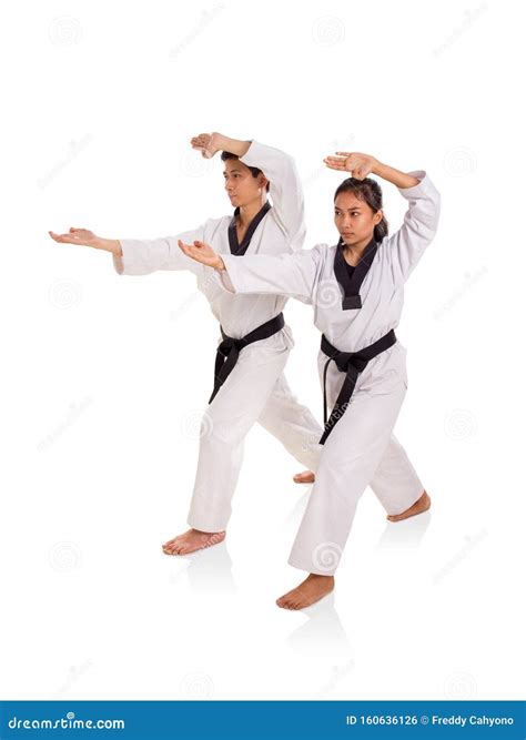 Taekwondo Basic Techniques