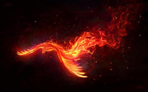 🔥 [46+] Phoenix Wallpapers | WallpaperSafari