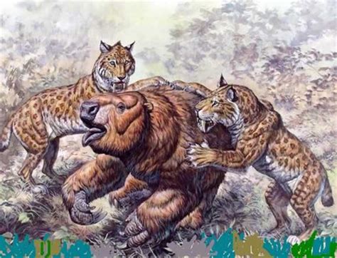 Glossotherium robustum - Carnivora