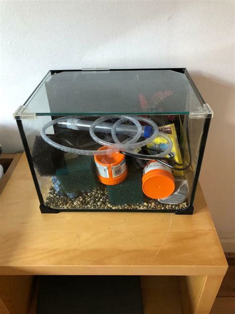 Cold water fish tank | in Streatham, London | Gumtree