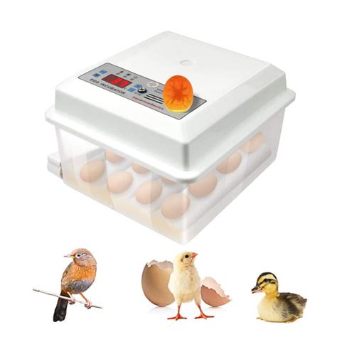 Buy Egg Hatching Incubator rotation axis Just Accessorie Online in India. 919401310