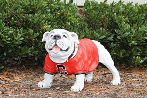 Amazon.com : University of Georgia UGA Painted Garden Statue 20 ...