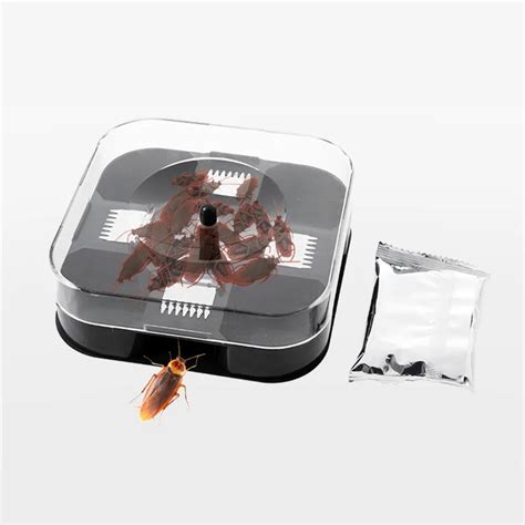 Aliexpress.com : Buy 1pc Cockroach House Cockroach Trap Insect Net Bait Catcher Pest Control ...