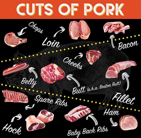 Pork Chart Cuts Of Meat